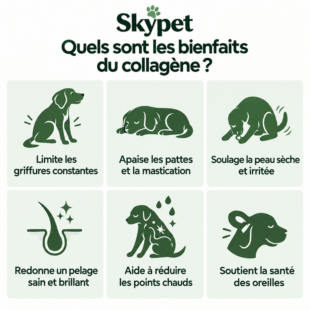 Le Collagène Liquide Premium pour Chiens