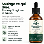 Le Collagène Liquide Premium pour Chiens