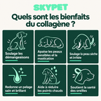 Le Collagène Liquide Premium pour Chiens