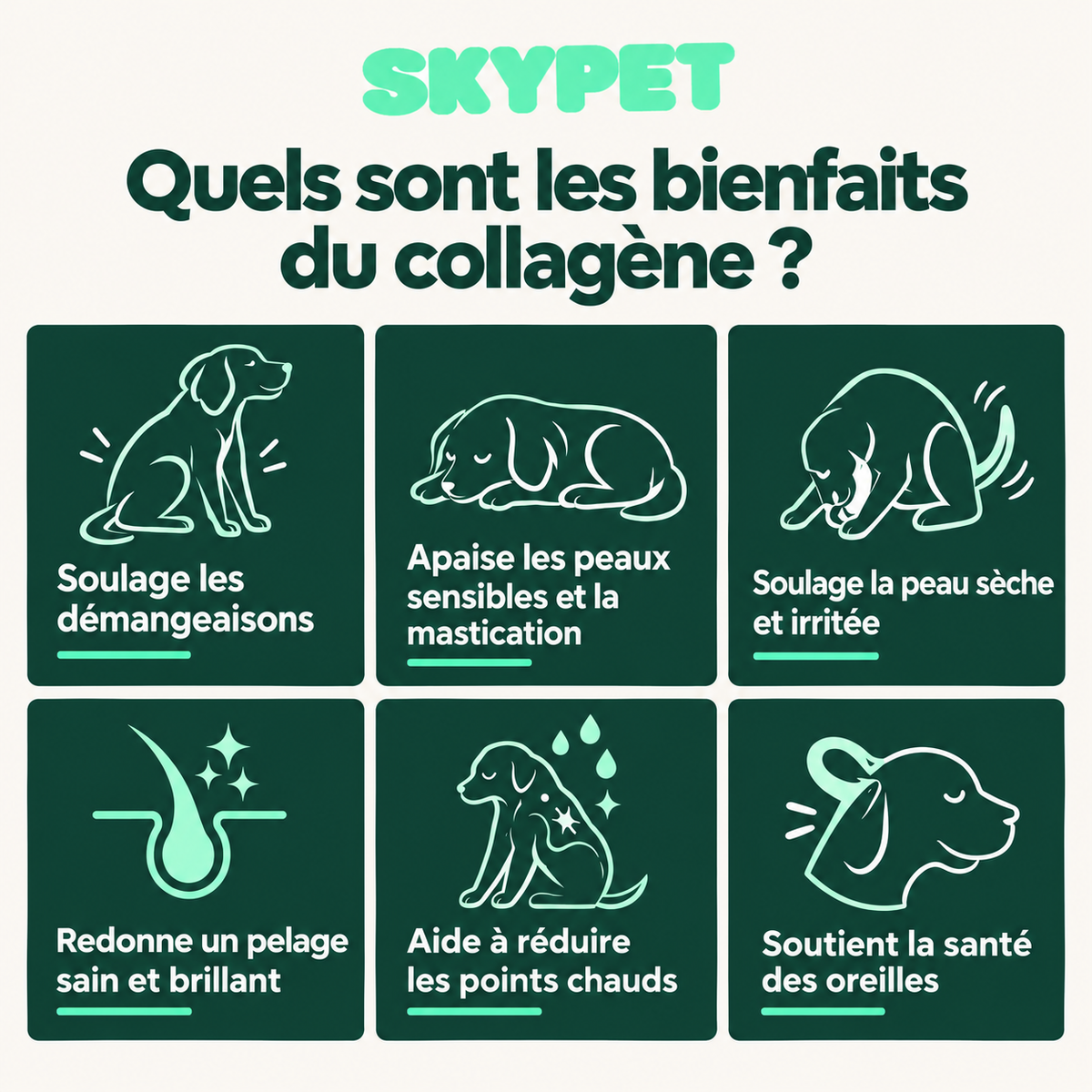 Le Collagène Liquide Premium pour Chiens
