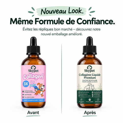 Le Collagène Liquide Premium pour Chiens