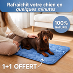 Sky®  le tapis de refroidissement