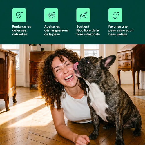 Le Collagène Liquide Premium pour Chiens